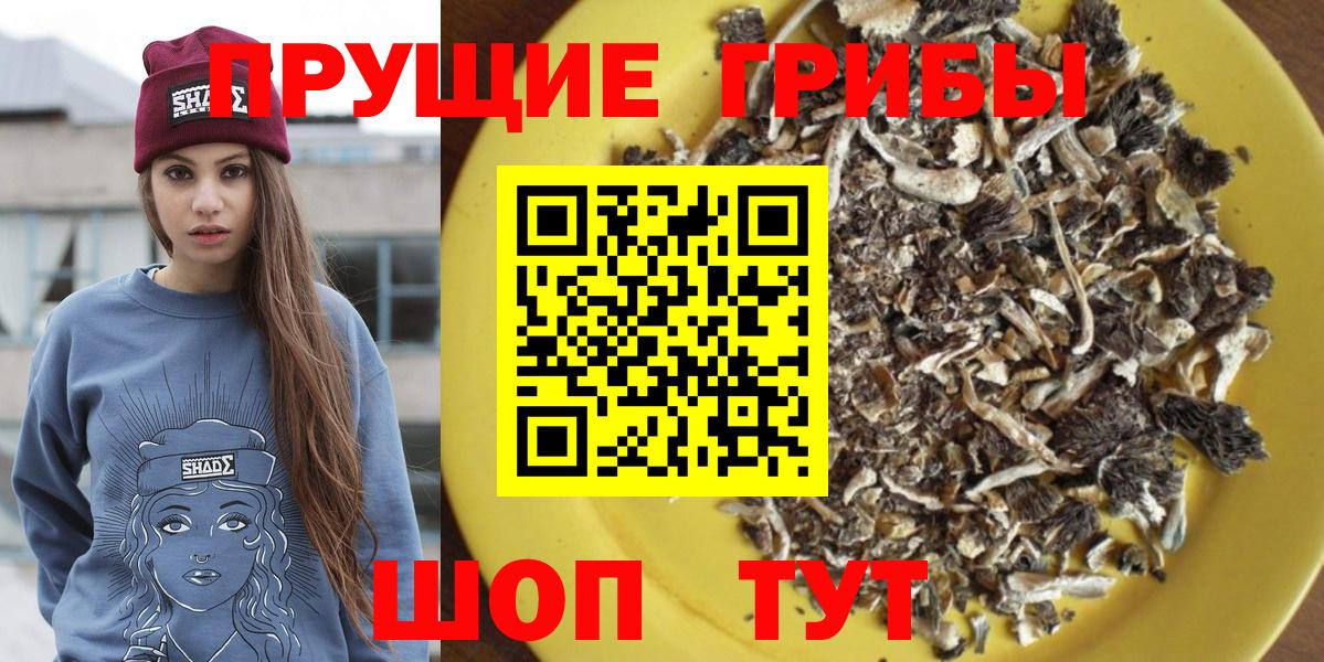 Псилоцибиновые грибы мухоморы Кувандык