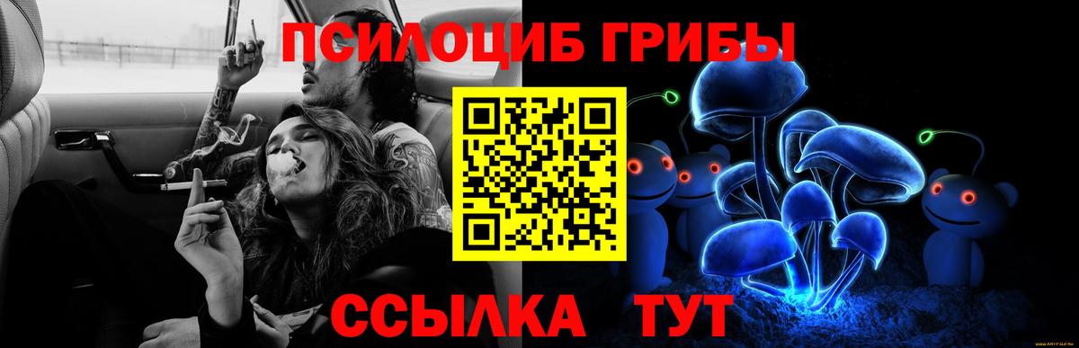 Псилоцибиновые грибы ЛСД  Вход с VPN  Галлюциногенные грибы мицелий  Кувандык 